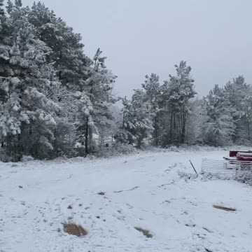 Snow in Overton TX 01/10/2021