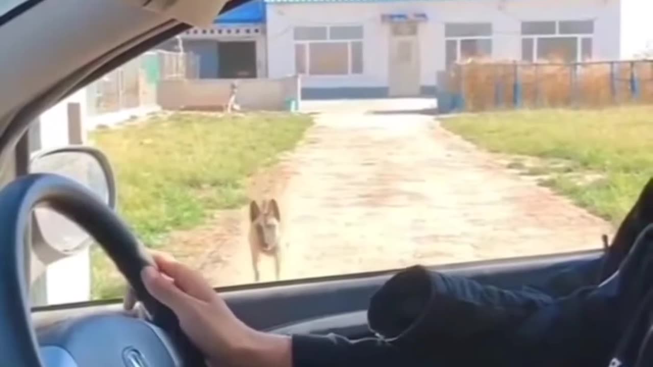 Try not to laugh 🤣🤣🤣