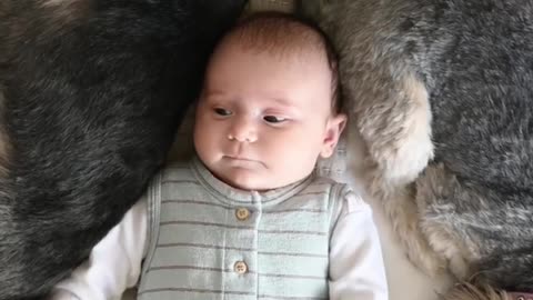 Cute baby