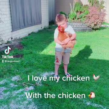 Boy and his chicken