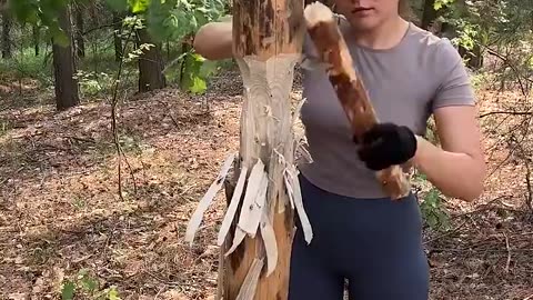 A girl is cutting a tree 🌲#viral #video #trendingshorts