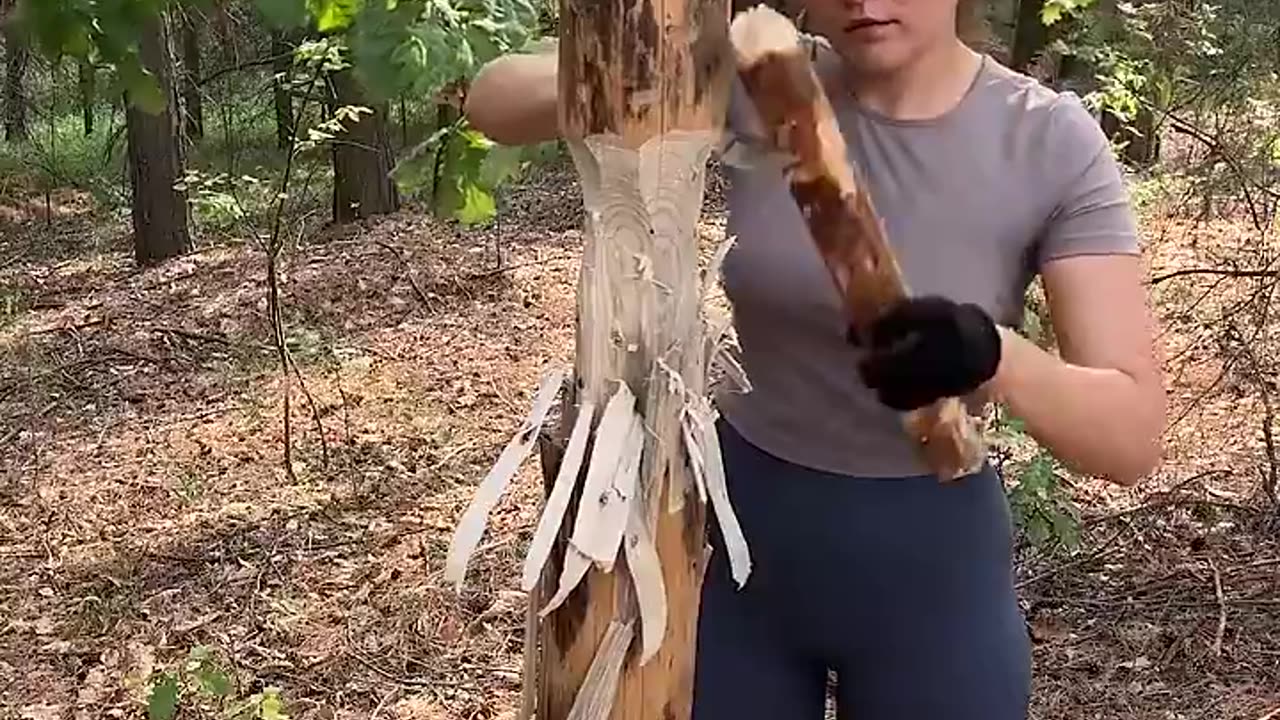 A girl is cutting a tree 🌲#viral #video #trendingshorts