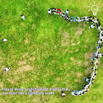 Wow! What an art! #Art #Movies #Science #Technology