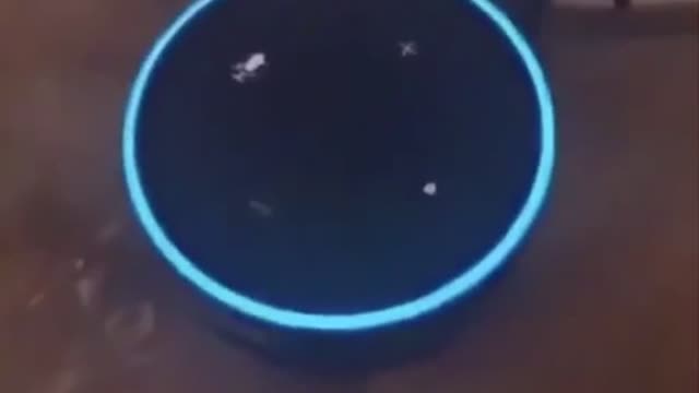 Alexa answers question “did the government released the coronavirus”?