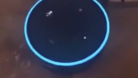 Alexa answers question “did the government released the coronavirus”?