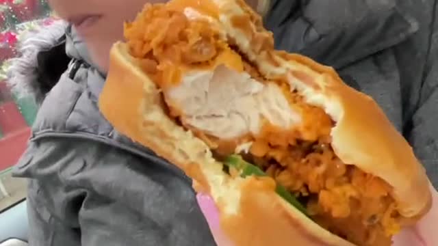 Fried chicken leg