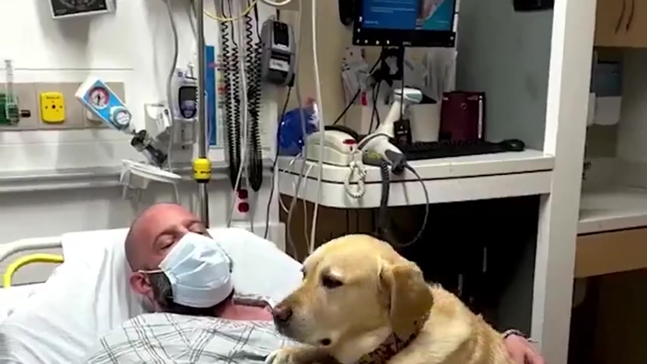 Man’s dog was by his side the entire time he was at the hospital