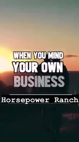 Trumps Ten Steps For Success