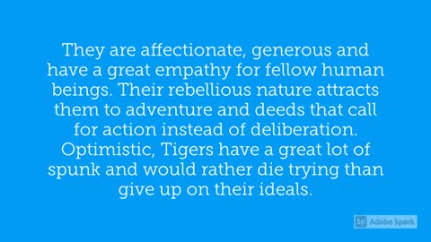 2022 The Year of the Tiger - Everyone Astrology