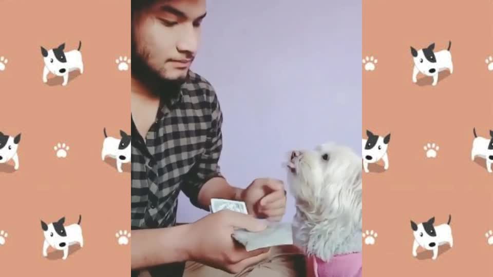 Funny Video Of A Man And His Adorable Dog