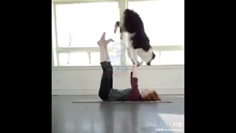 Cute and Funny Dog Videos Compilation 2022