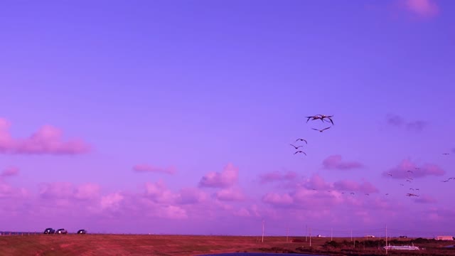 Beauty Of Nature Drone View Colors of Nature