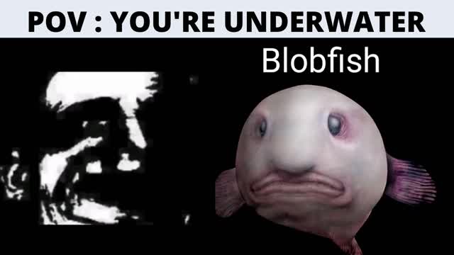 Mr Incredible Becoming Uncanny (Underwater)