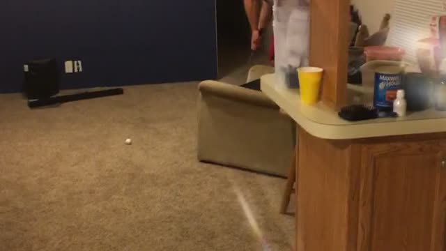 Guy Nails Incredible Ping Pong Trick Shot