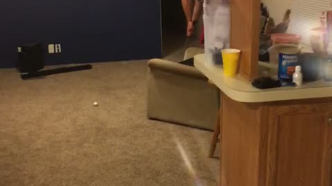 Guy Nails Incredible Ping Pong Trick Shot