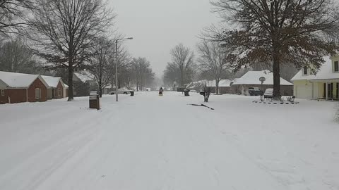 Snow in Collierville, TN