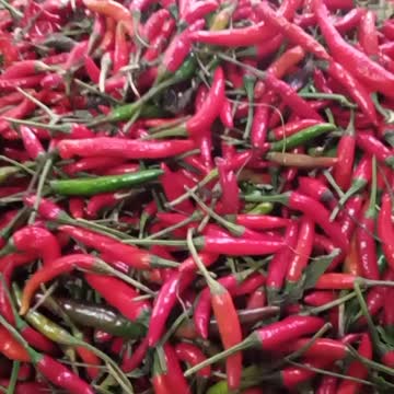 Ait Ourir Marrakech Maroc