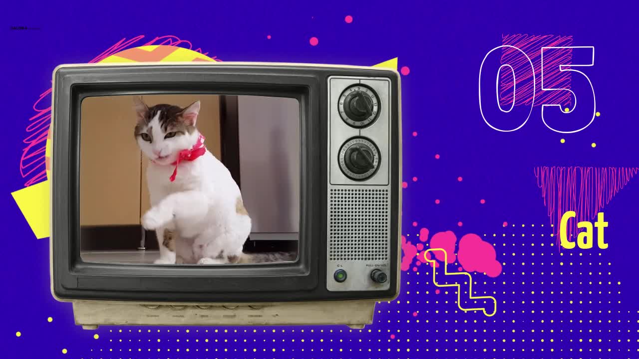 Retro tv, happy animals, animated ending