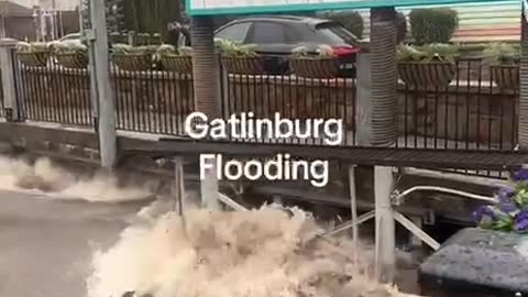 🟥🟥🟥🟥🟥 Prayers for these people in Gatlinburg, TN 🙏 ⚠️⚠️⚠️⚠️⚠️⚠️⚠️⚠️⚠️⚠️⚠️