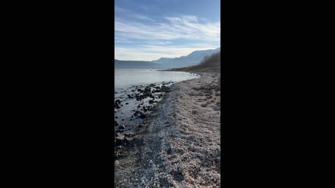 Millions of shells beside lake