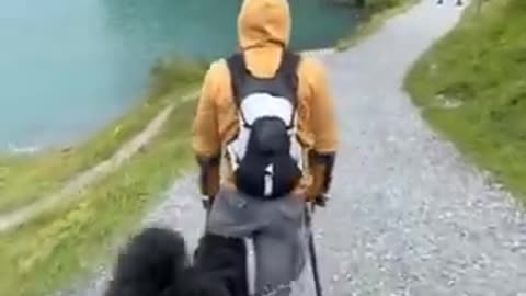 The Best Leg Ever !!!
