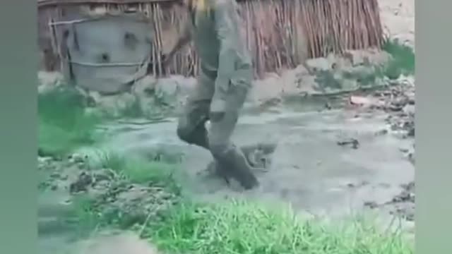 Funny Dog Vs Monkey video ll funny video ll comedy videos ll zili funny