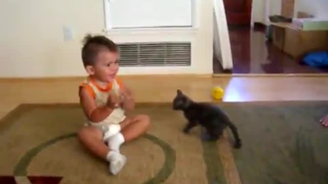cat try to catch a kid