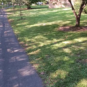 Sweet arrow lake park part7