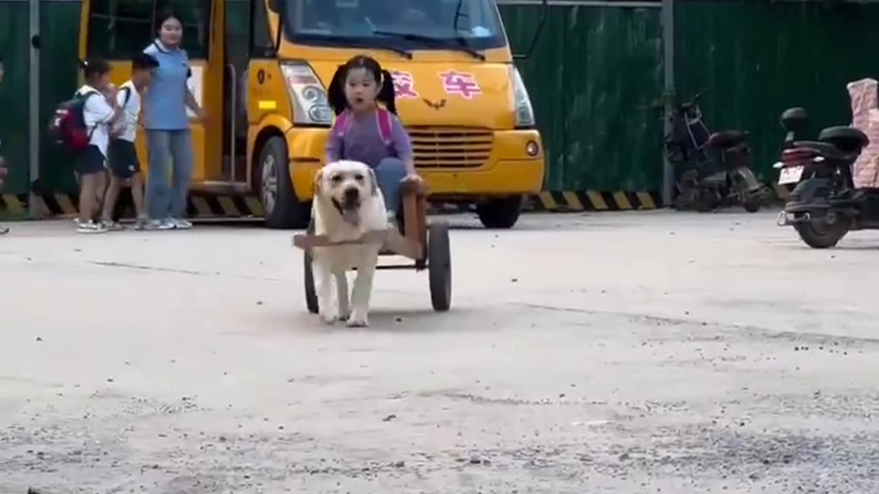 Little girl's school pick up..🐕🐾👧🥰