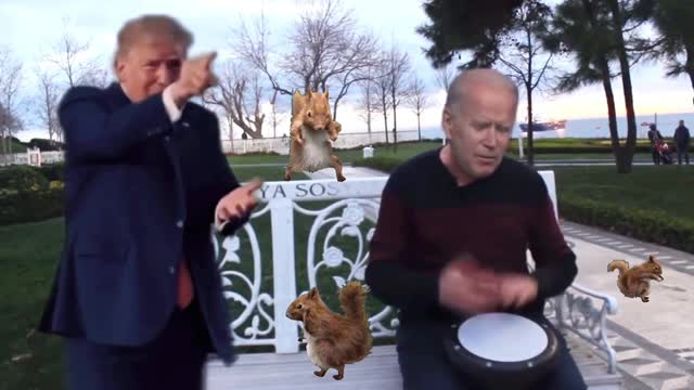 Trump and Biden going crazy