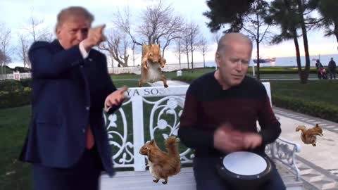 Trump and Biden going crazy