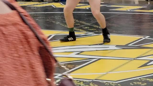 Watkins Memorial D1 Central District Sectional Wrestling