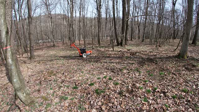 Time Lapse Grinding out 14 More Stumps