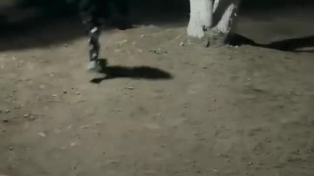Watch The Dog.( How Is It Possible)🤔