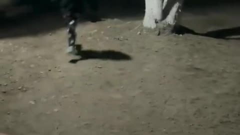 Watch The Dog.( How Is It Possible)🤔
