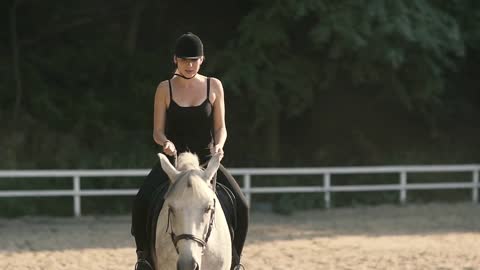 Graceful Horse. Horse Riding in the Summer Forest
