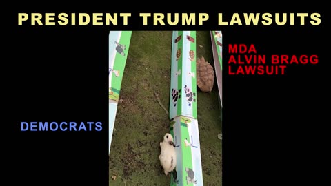 President TRUMP ....Are the lawsuits over?