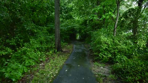 Relaxing rain sounds, a silent walk in the rain.