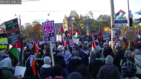 Palestine Youth Movement - Ceasefire Now - End the endless war