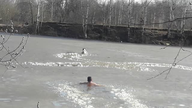 Dog Doesn't Wait for Saving from Frozen River