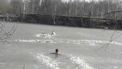 Dog Doesn't Wait for Saving from Frozen River
