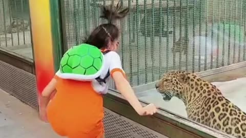 Funny video
