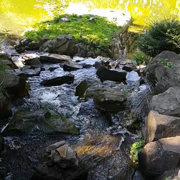 video you should see you must watch this i love it