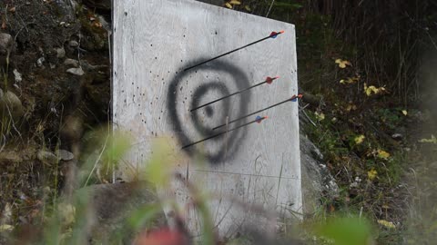 Bow Target Shooting