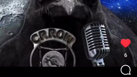 We All Live In A Yellow Submarine