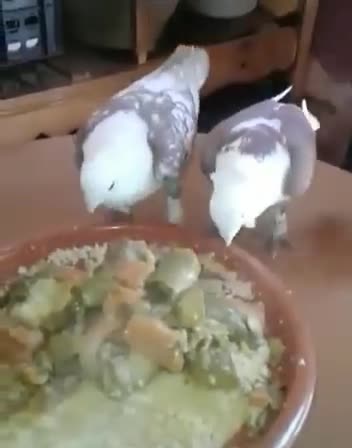 Couscous amazigh morocco