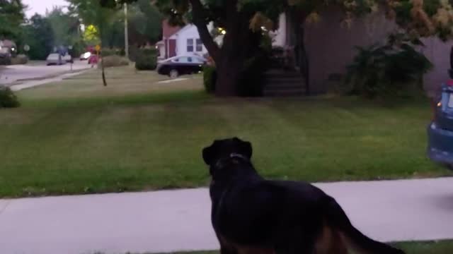 Korbin and Fireworks