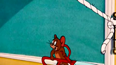 Funny cartoon Tom and Jerry