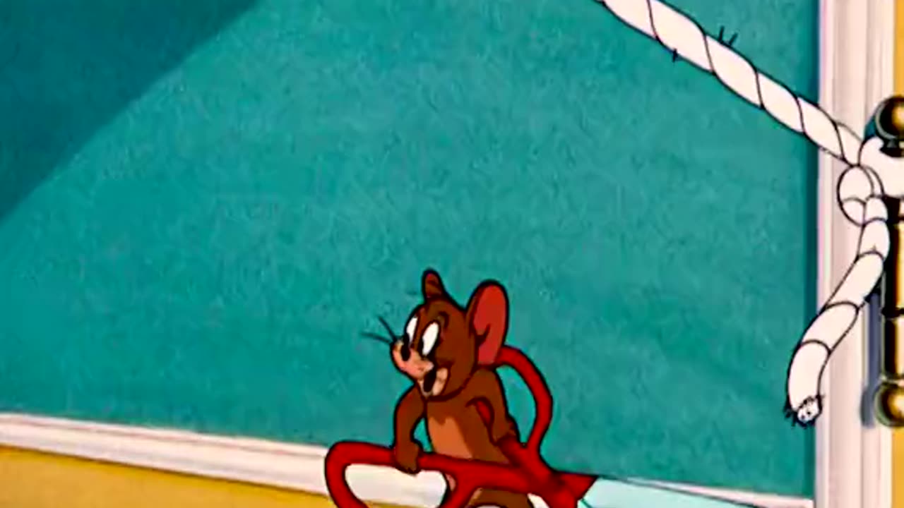 Funny cartoon Tom and Jerry