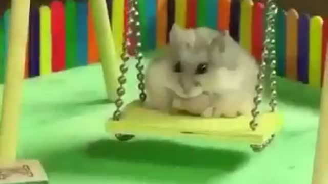 Swing for hamsters